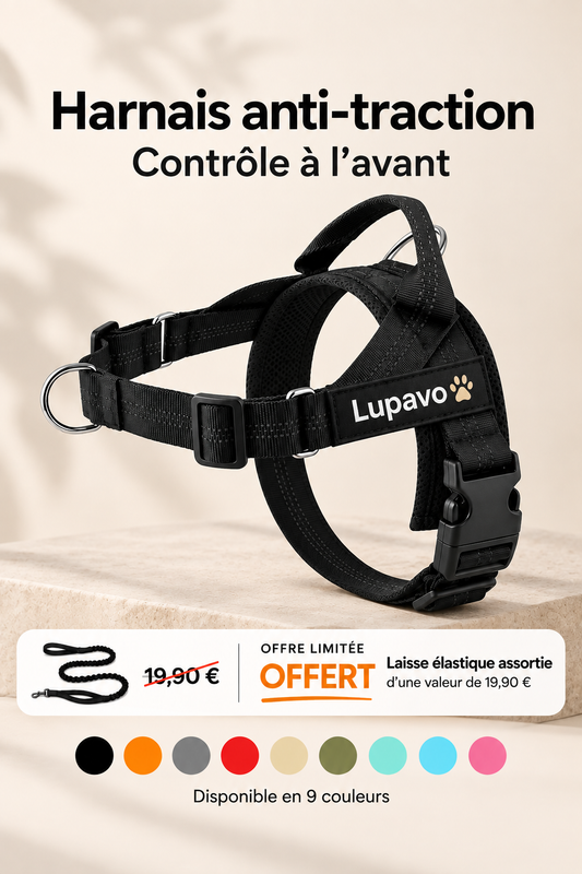 Harnais anti-traction LUPAVO