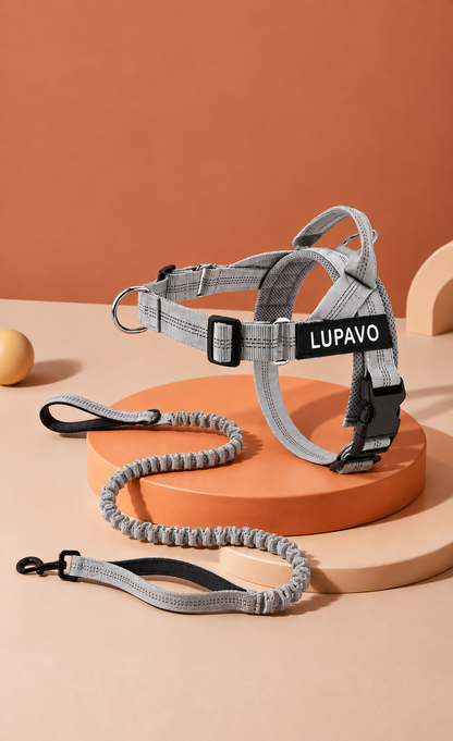 Harnais anti-traction LUPAVO