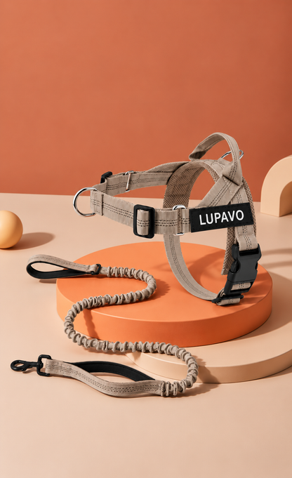 Harnais anti-traction LUPAVO