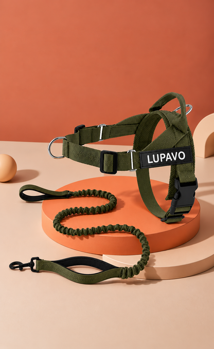 Harnais anti-traction LUPAVO